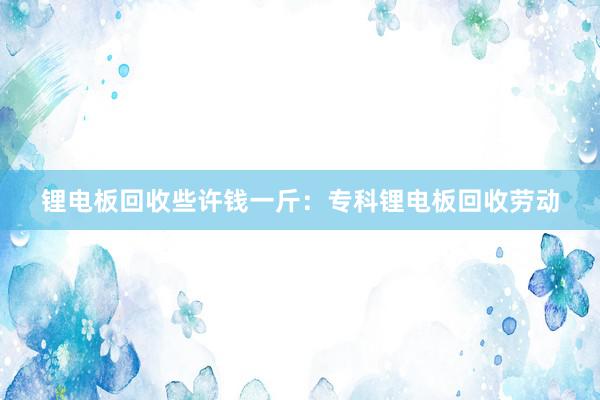 锂电板回收些许钱一斤：专科锂电板回收劳动